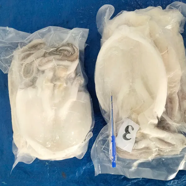 Mực lá 1 nắng
