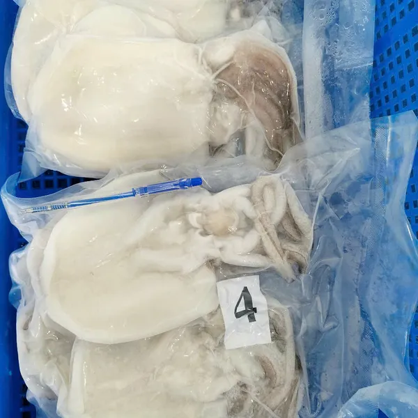 Mực lá 1 nắng
