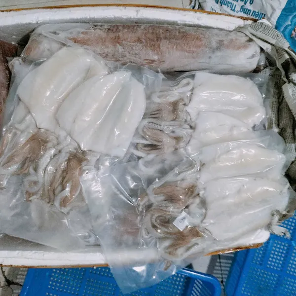 Mực lá 1 nắng
