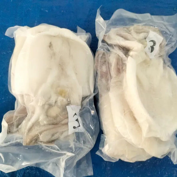 Mực lá 1 nắng