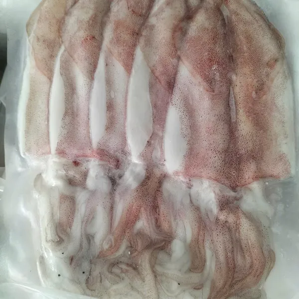 MỰC ỐNG