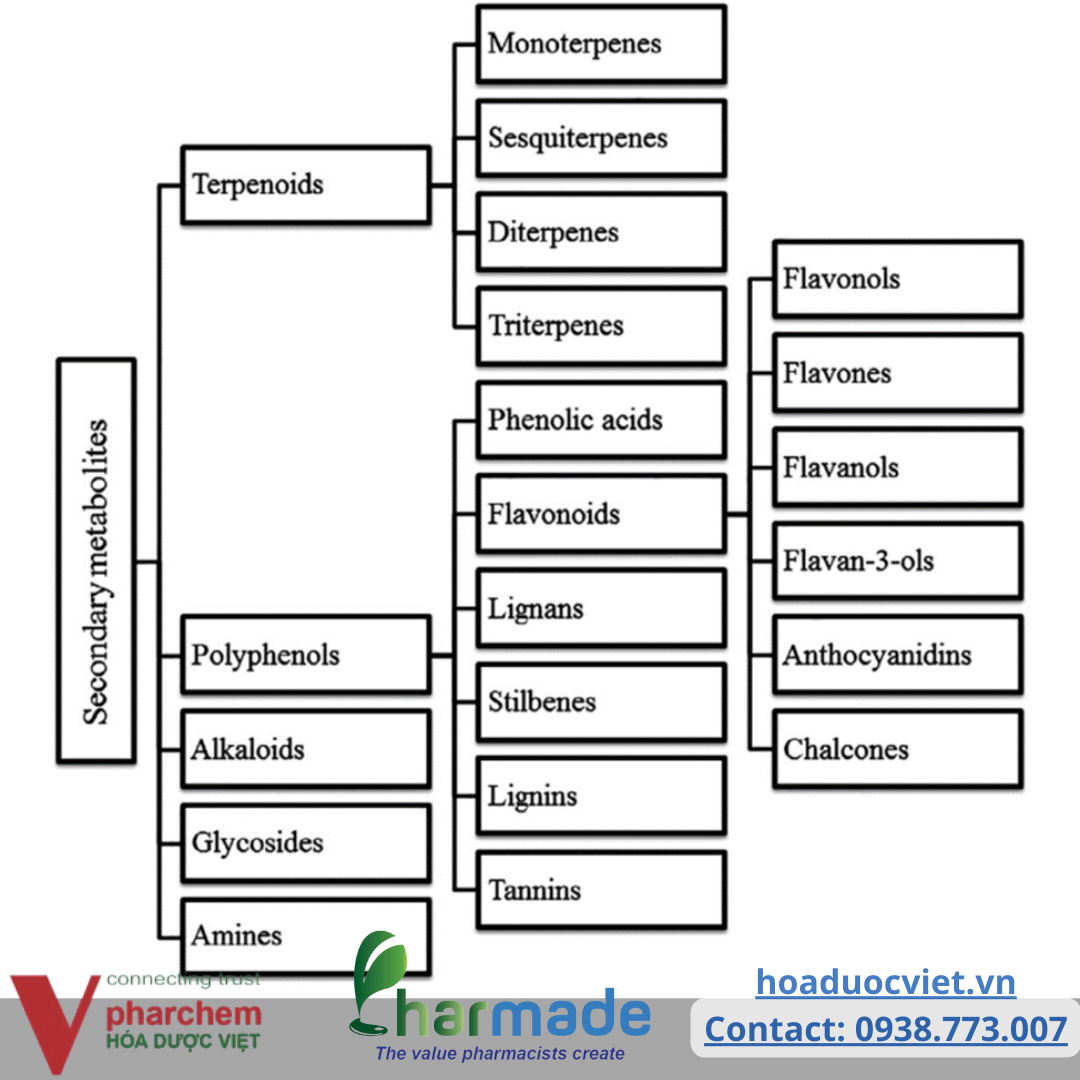 chiết xuất dược liệu, tá dược, nghiên cứu thuốc, công thức thuốc, công nghệ bào chế, đăng kí thuốc, nguyên liệu dược chiết xuất dược liệu, tá dược, nghiên cứu thuốc, công thức thuốc, công nghệ bào chế, đăng kí thuốc, nguyên liệu dược