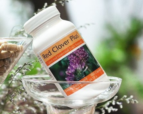 Red Clover Plus