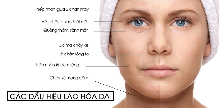 Dấu hiệu lão hóa da