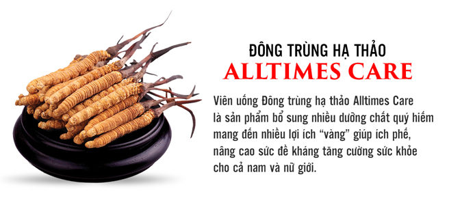 Viên uống Đông trùng hạ thảo Alltimes Care