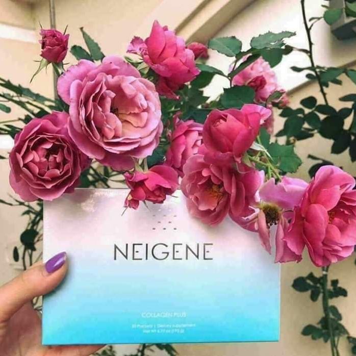 Neigene Collagen Plus