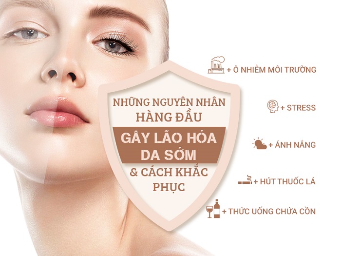 Nguyên nhân gây lão hóa da