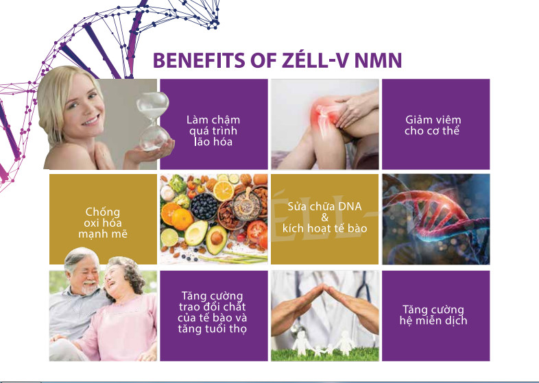 Công dụng ZELL-V N-MN