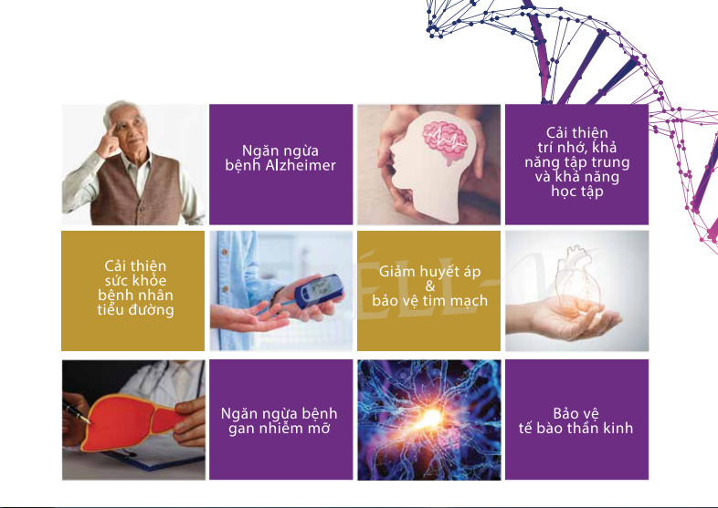 Công dụng ZELL-V N-MN