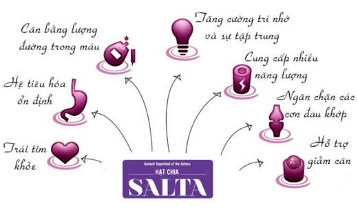 Công dụng hạt chia AZCHIA