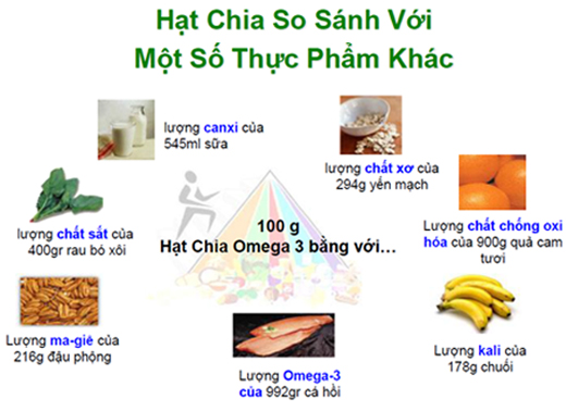 Dinh dưỡng trong hạt chia