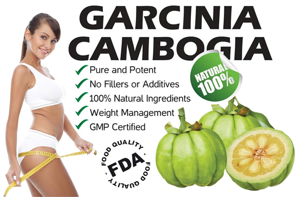 Garcinia cambogia