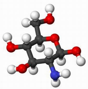 Cấu trúc phân tử của glucosamin.
