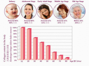 Cấu trúc collagen của da theo độ tuổi