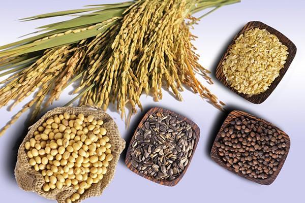 Ăn kiêng giảm cân không tinh bột