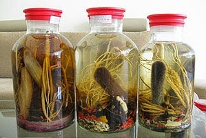 Đông trùng hạ thảo ngâm rượu nhân sâm
