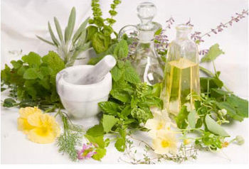 Thảo mộc Thảo mộc