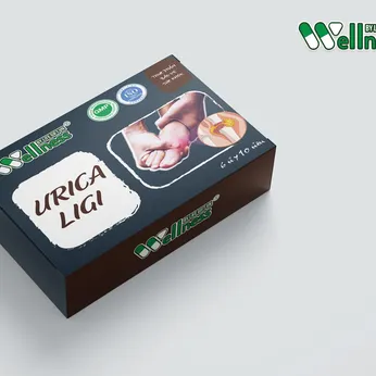 Viên Uống Hỗ Trợ Điều Trị Gout Urica Ligi