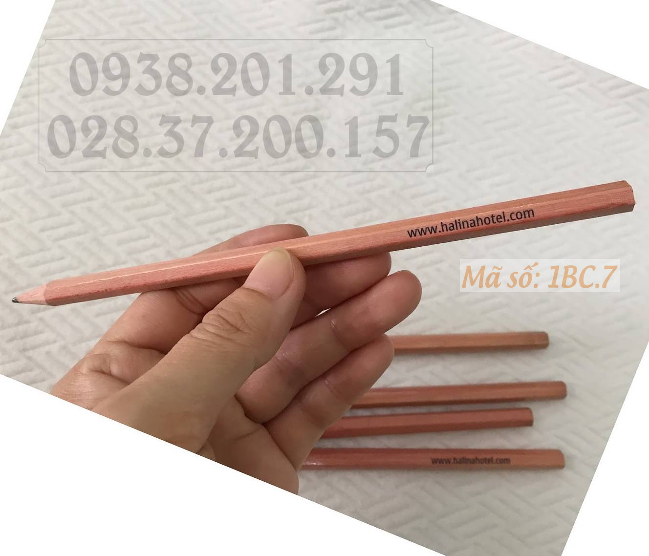 Đặt in bút chì màu gỗ tự nhiên vàng nhạt in logo giá rẻ làm quà tặng Đặt in bút chì màu gỗ tự nhiên vàng nhạt in logo giá rẻ làm quà tặng