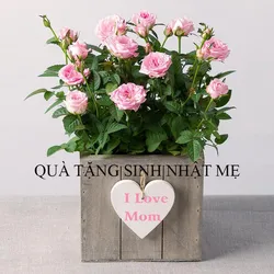 Mua gì tặng mẹ ngày sinh nhật thật nhiều ý nghĩa và độc đáo nhất 2021