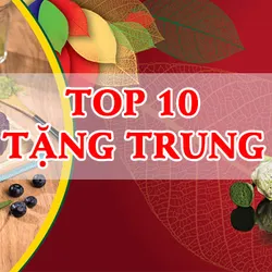 TOP 10 món quà tặng trung thu không nên bỏ lỡ