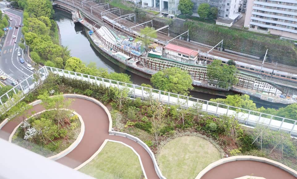 Vườn trên sân thượng