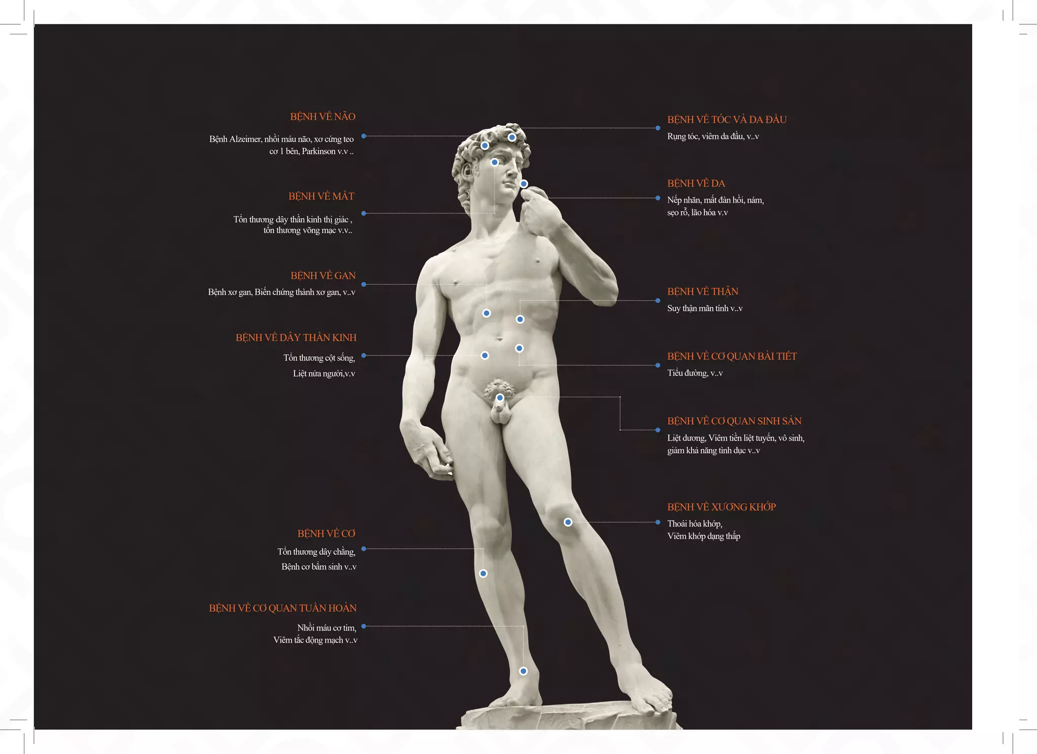 Các bệnh điều trị bằng Tế bào gốc