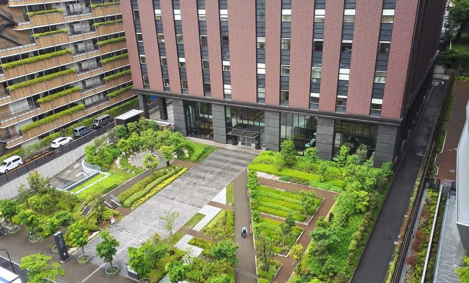 Lối vào chính và quảng trường mở trước bệnh viện