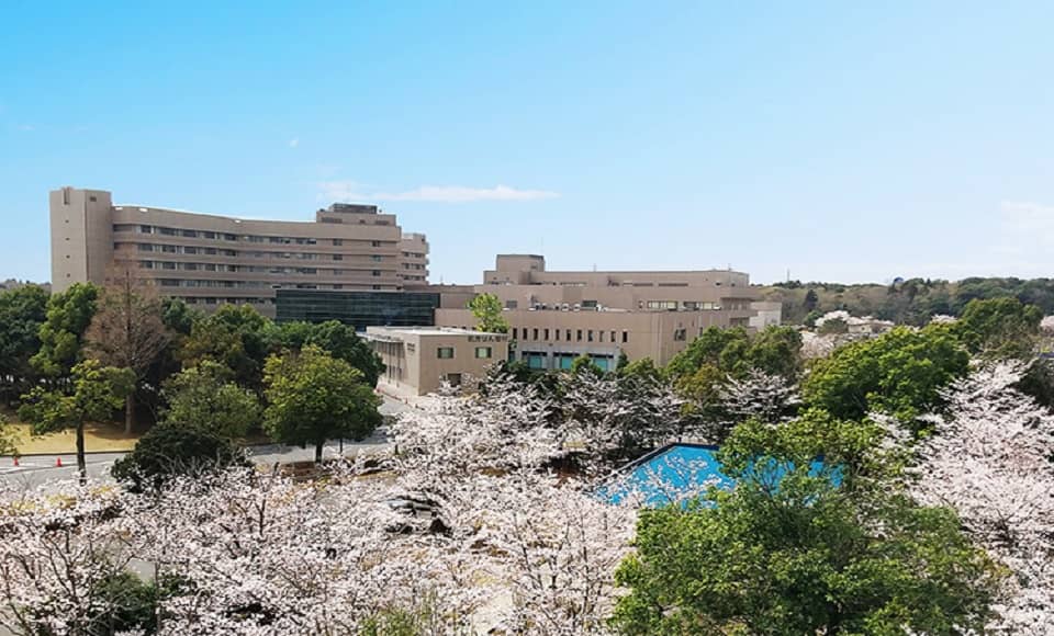 Mùa xuân tại Nippon Medical Schhol Chiba Hokusoh Hospital