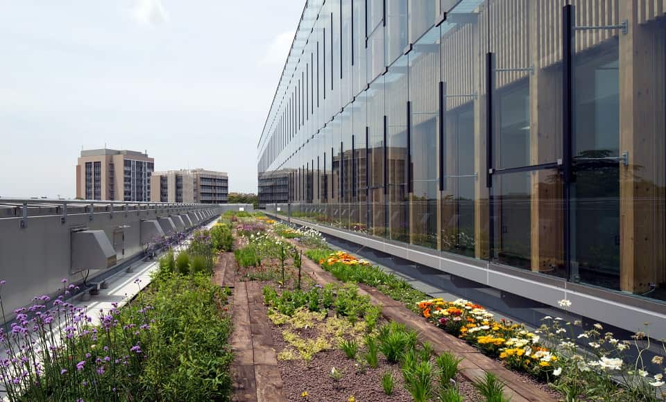 Vườn trên mái