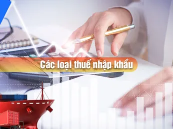 Chi Tiết Các Loại Thuế Phải Nộp Khi Nhập Khẩu Hàng Hóa