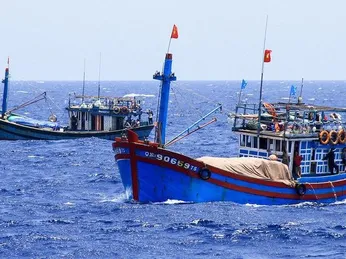 Đóng Tàu Thủy Cho Ngành Thủy Sản