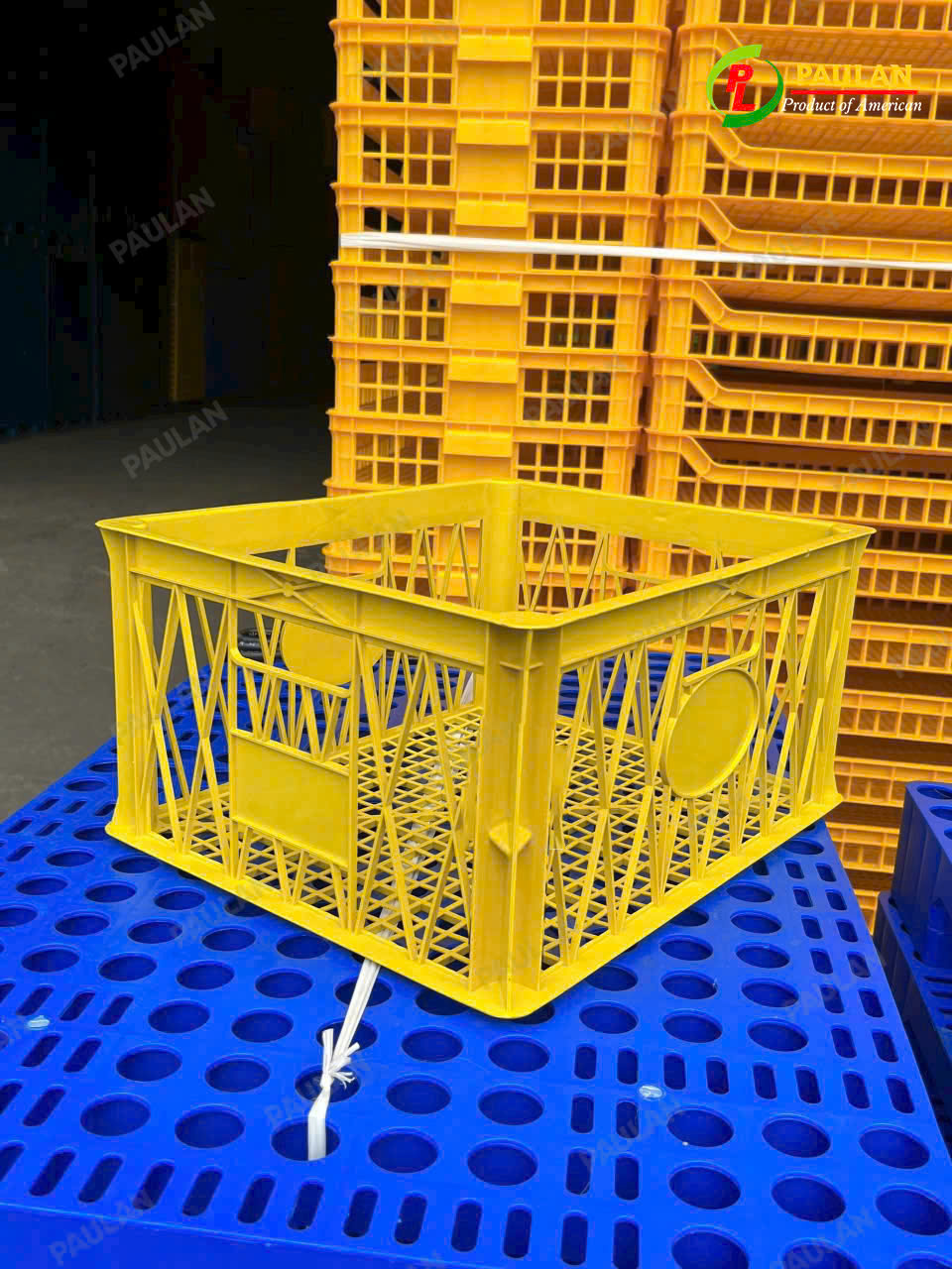 rổ trái sầu riêng rổ trái sầu riêng