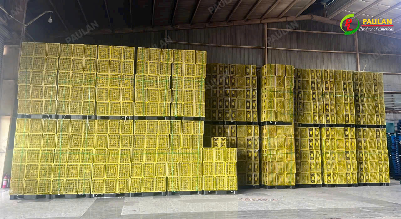 rổ trái sầu riêng rổ trái sầu riêng