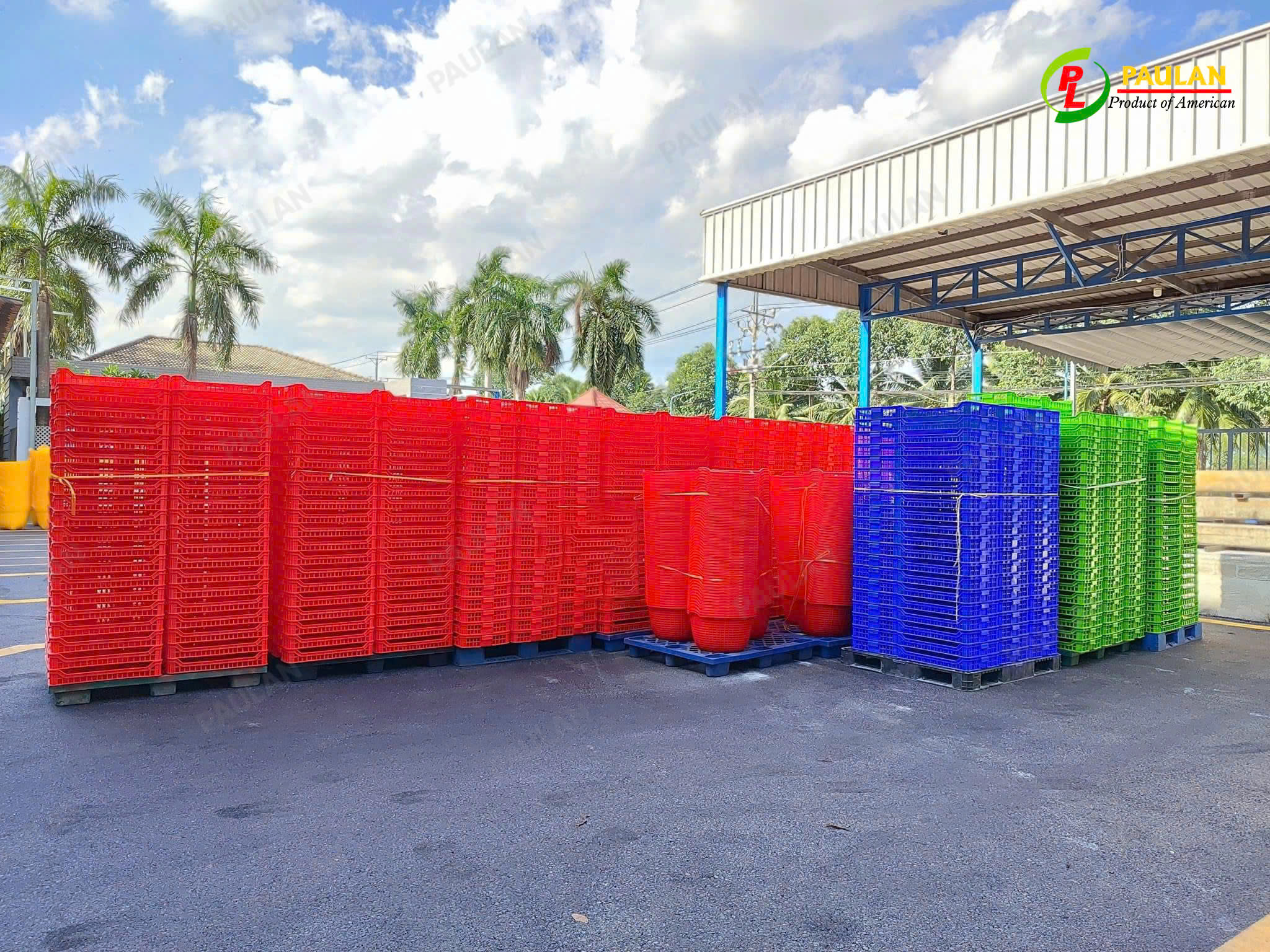 Paulan Cung Cấp Các Mẫu Sóng Cấp Đông Chất Lượng Paulan Cung Cấp Các Mẫu Sóng Cấp Đông Chất Lượng