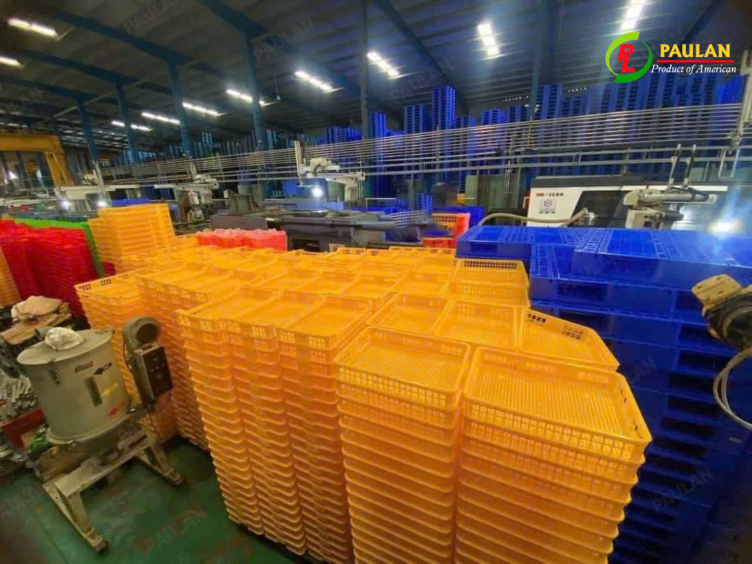 Paulan Cung Cấp Các Mẫu Sóng Cấp Đông Chất Lượng Paulan Cung Cấp Các Mẫu Sóng Cấp Đông Chất Lượng