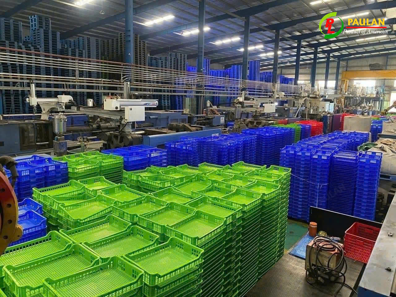 Paulan Cung Cấp Các Mẫu Sóng Cấp Đông Chất Lượng Paulan Cung Cấp Các Mẫu Sóng Cấp Đông Chất Lượng