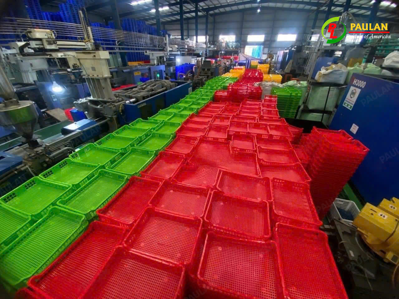 Paulan Cung Cấp Các Mẫu Sóng Cấp Đông Chất Lượng Paulan Cung Cấp Các Mẫu Sóng Cấp Đông Chất Lượng