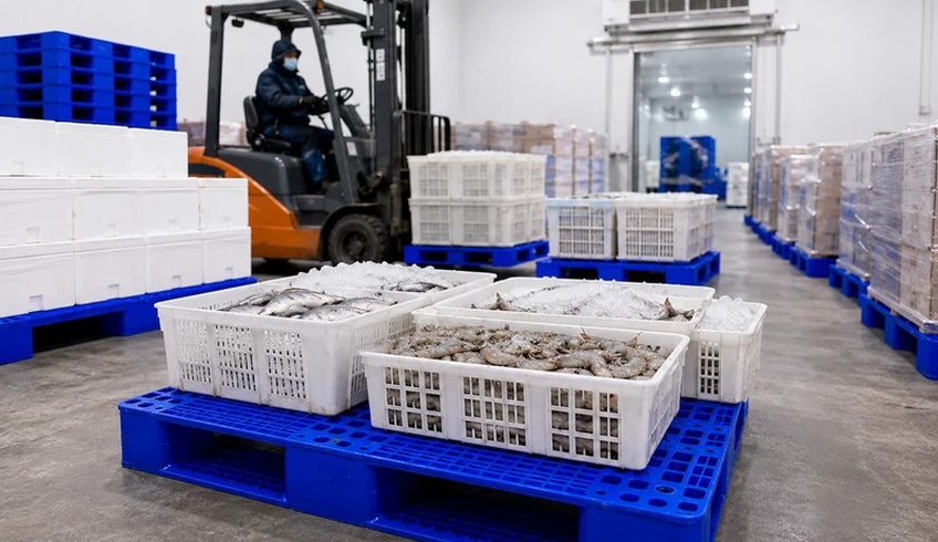 Pallet nhựa dùng trong ngành thủy sản như thế nào?