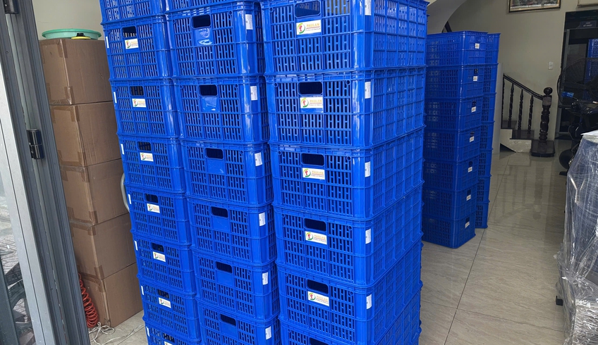SÓNG NHỰA LÀ GÌ? NHỮNG ỨNG DỤNG PHỔ BIẾN CỦA SÓNG NHỰA TRONG ĐỜI SỐNG HÀNG NGÀY