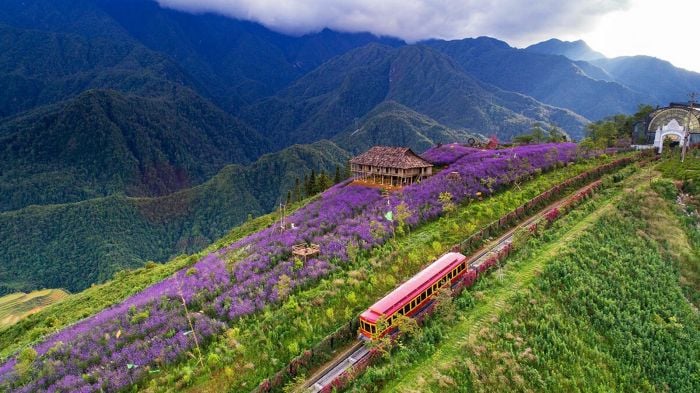 Train travel in Vietnam