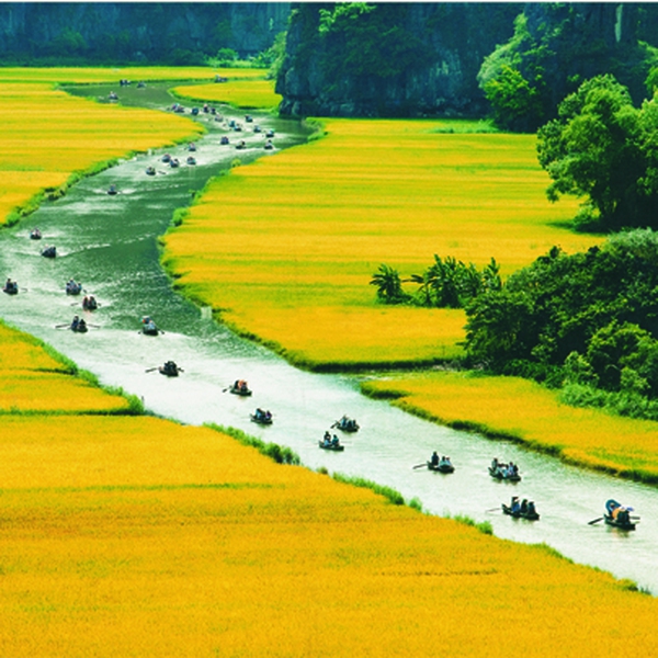 HA NOI - NINH BINH - HA LONG BAY (2 DAYS 1 NGHT)