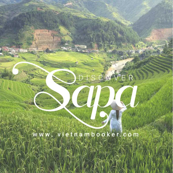 Best of North Viet Nam - Ha noi- ninh binh-ha long -sapa