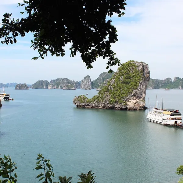 OLYMPUS 5 STAR HALONG BAY DAY CRUISE