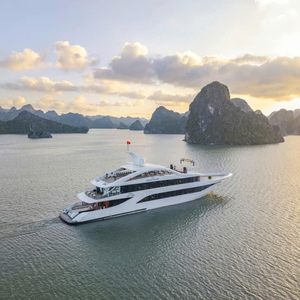 HA LONG 1 DAY - LEONA CRUISE
