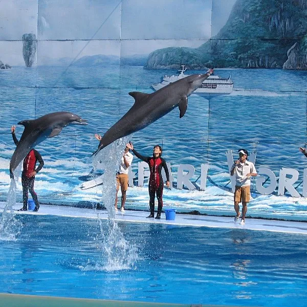 Vinpearl safari Phu Quoc 1 day trip