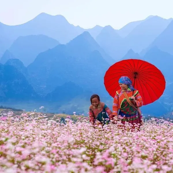 Ha Giang loop 4 Days 3 Nights