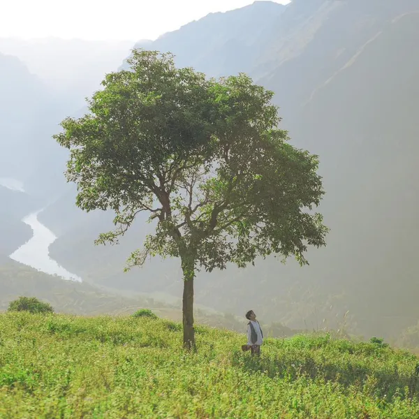 Sapa 3 Days Trekking with Mao's