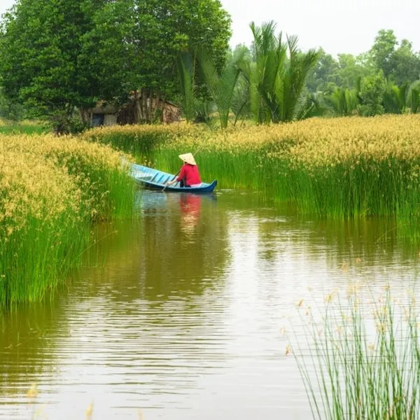 8-DAY THE BEST OF VIETNAM 