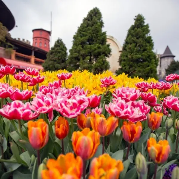 8-DAY THE BEST OF VIETNAM 